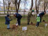 В Коврове учащиеся школ и воспитанники детских садов под руководством педагогов высаживают деревья в память о погибших во время Великой Отечественной войны в рамках Международной акции «Сад памяти»