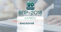 Шестиклассники напишут 20 апреля всероссийскую проверочную работу по биологии